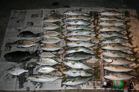 南部の磯でヤズ メジナ スズキ エバ の釣果 09 10 12 みやつり