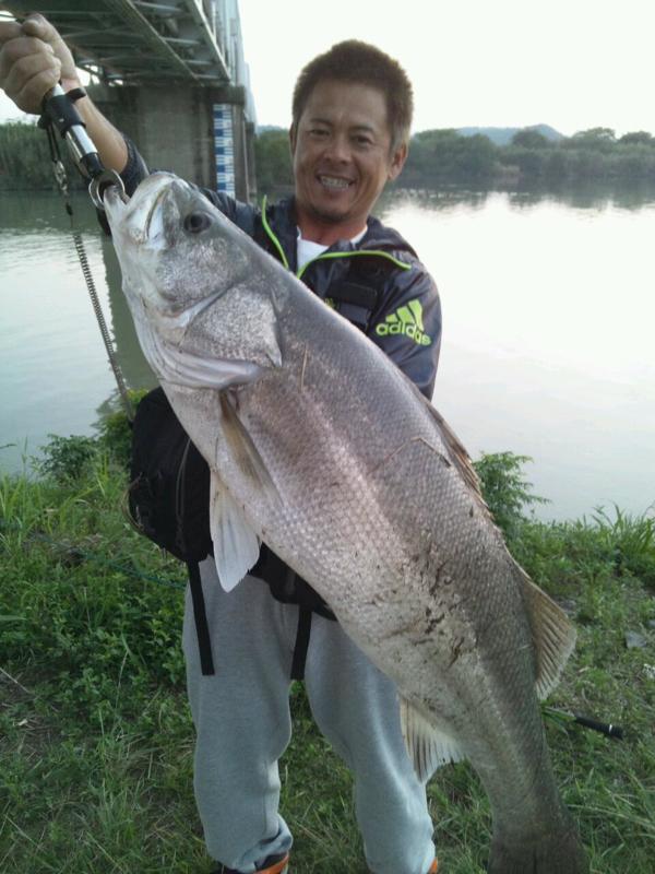 一ツ瀬川でシーバス の釣果 13 10 29 みやつり