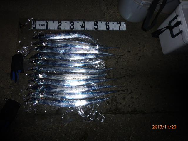 太刀魚